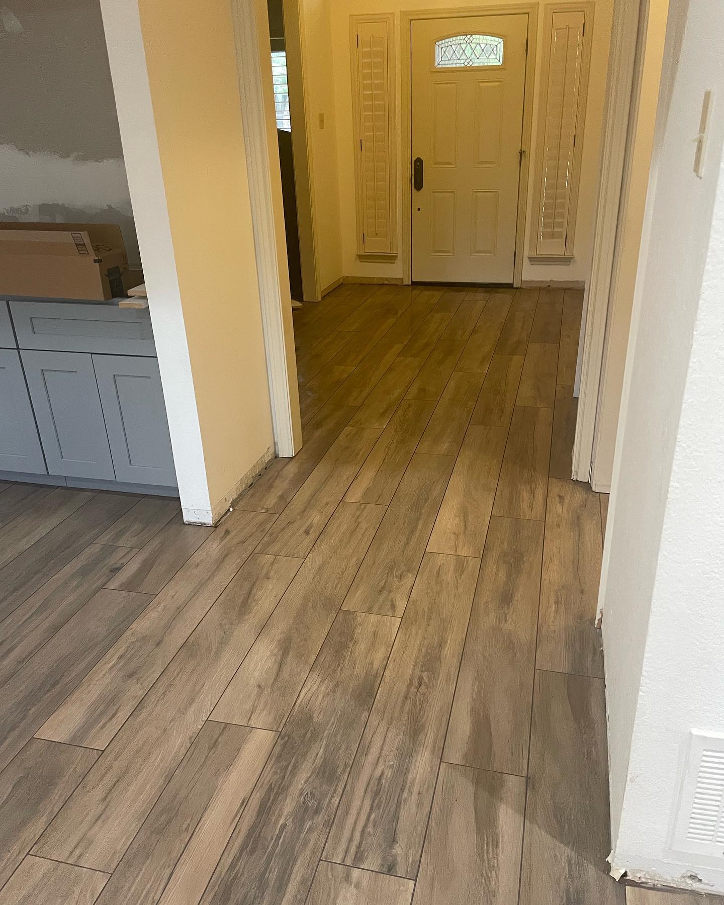 The Berezins' Whole-Home Remodel in Coppell, TX photo 6